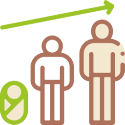 icon evaluare dezvoltare